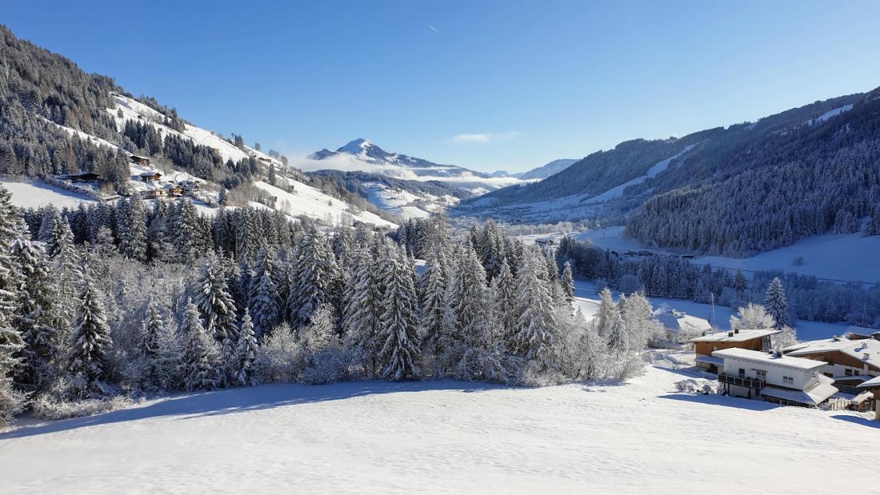 Ferienwohnung Zauberwinkelweg Mit Traum-Aussicht! Wildschoenau Extérieur photo